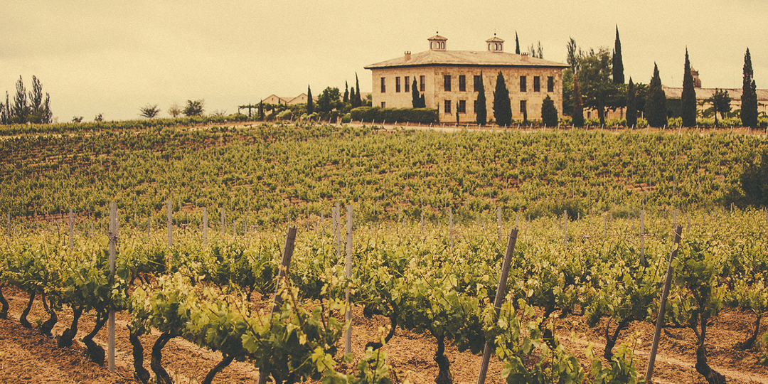 The Best Wines from Spain: A Journey Through Spanish Excellence