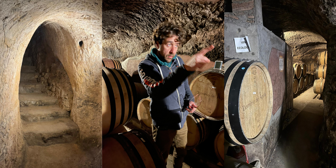 Dominio del Águila: A Timeless Expression of Ribera del Duero