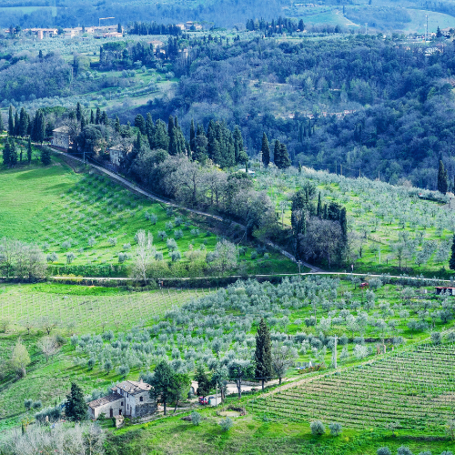 Italian Wine Regions: A Connoisseur's Guide