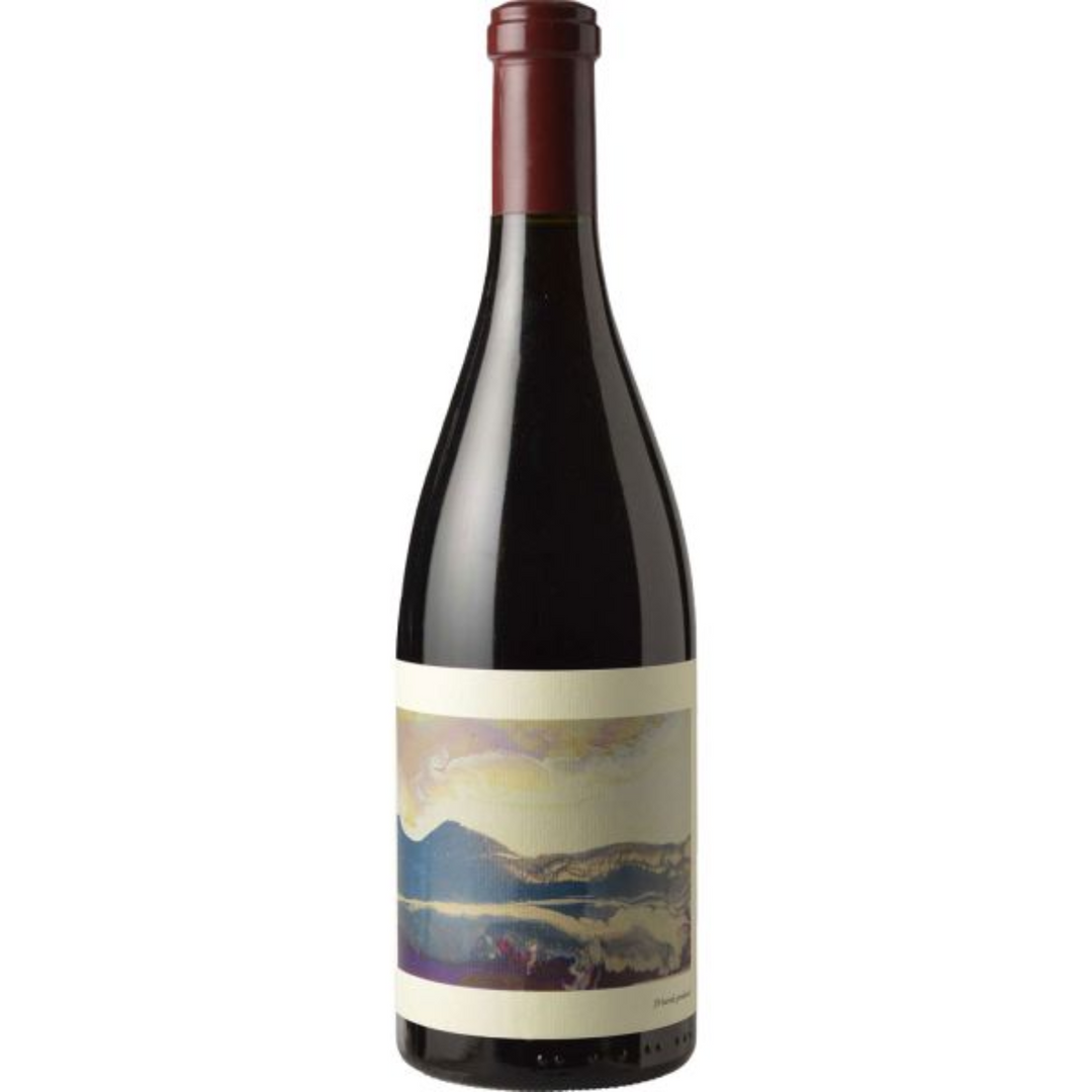 Chanin Bien Nacido Vineyard Pinot Noir, Santa Maria Valley, USA 2021