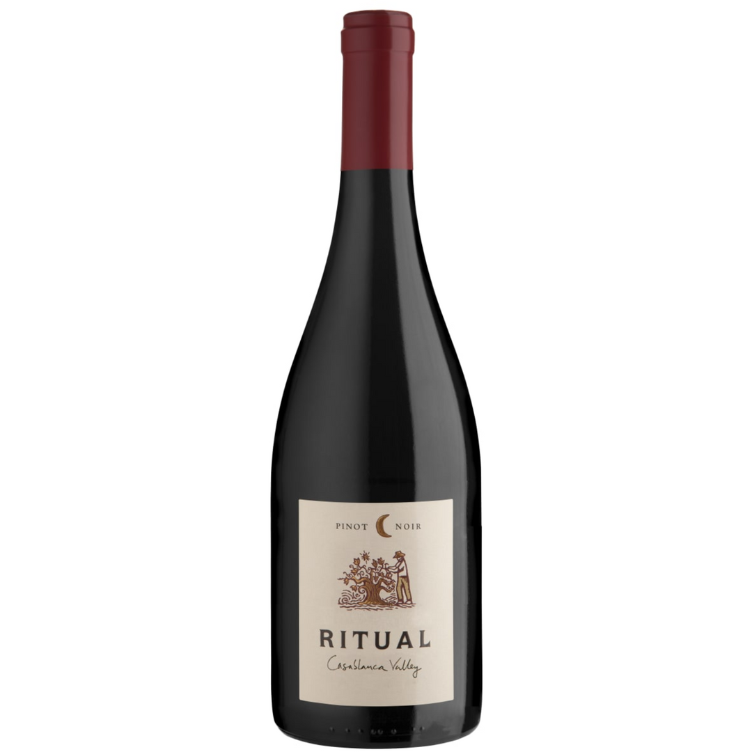 Ritual Pinot Noir, Casablanca Valley, Chile 2019 Case (6x750ml)