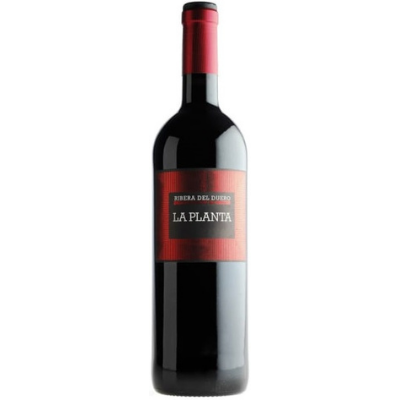 Bodegas Arzuaga Navarro 'La Planta', Ribera del Duero, Spain 2021